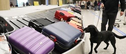 韩国机场港口将强化安检 旅客入境时间延长