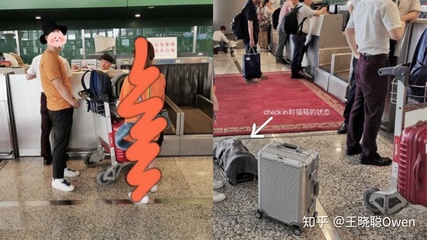 如何带猫上飞机(进客舱,非托运)