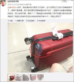 飞机托运行李近500吨 看到个炫富比王思聪还6的了